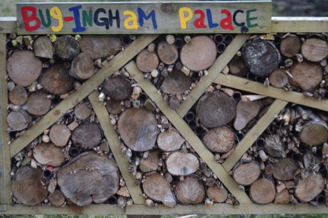 Bugingham Palace